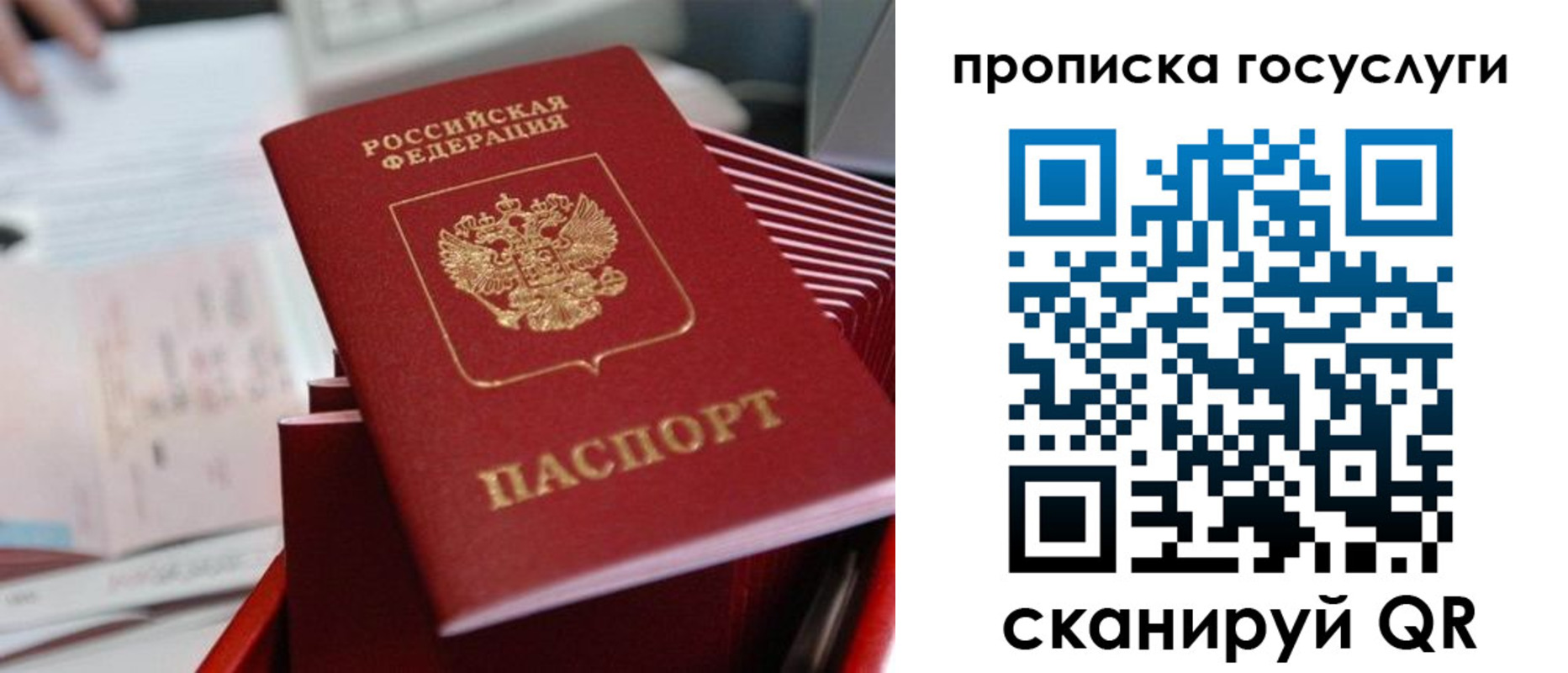 прописка законно в Светлом